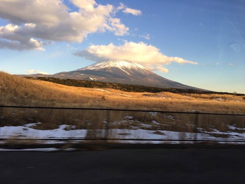 fuji view