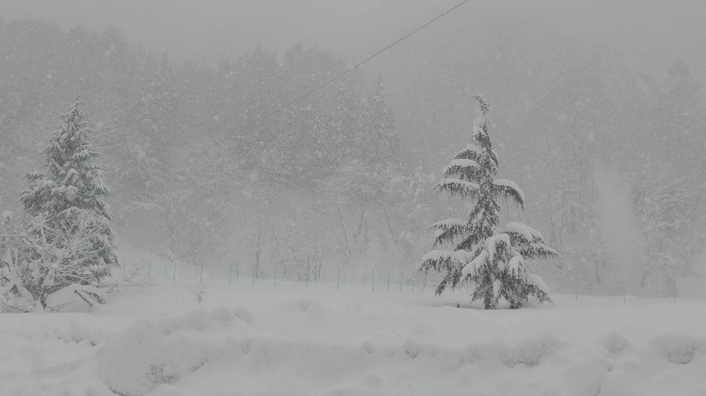 hakuba snow