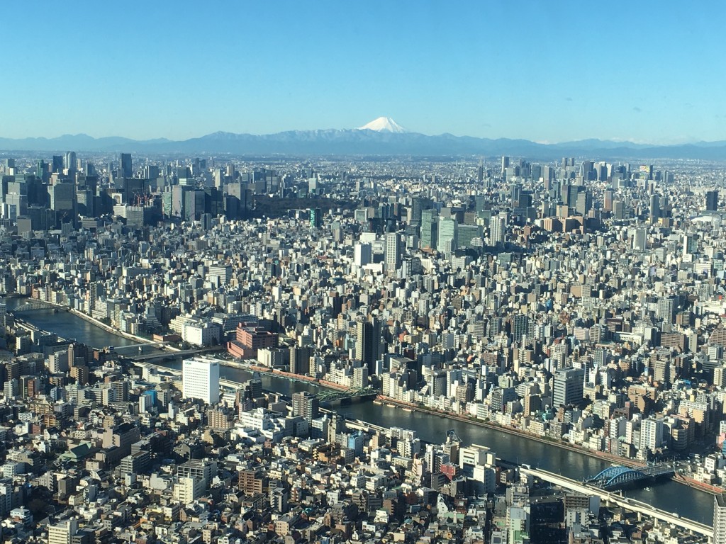 富士山fromスカイツリー